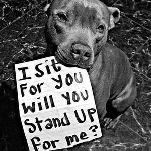 Meet your Posher, Joan